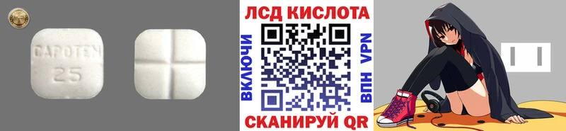 Лсд 25 экстази ecstasy  как найти закладки  Щёлкино 
