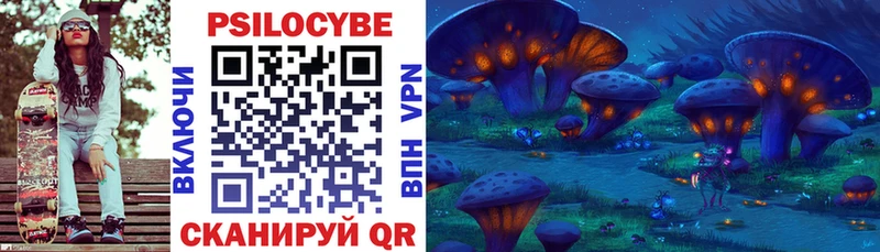 где купить   Щёлкино  Псилоцибиновые грибы Cubensis 